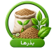 بذرها